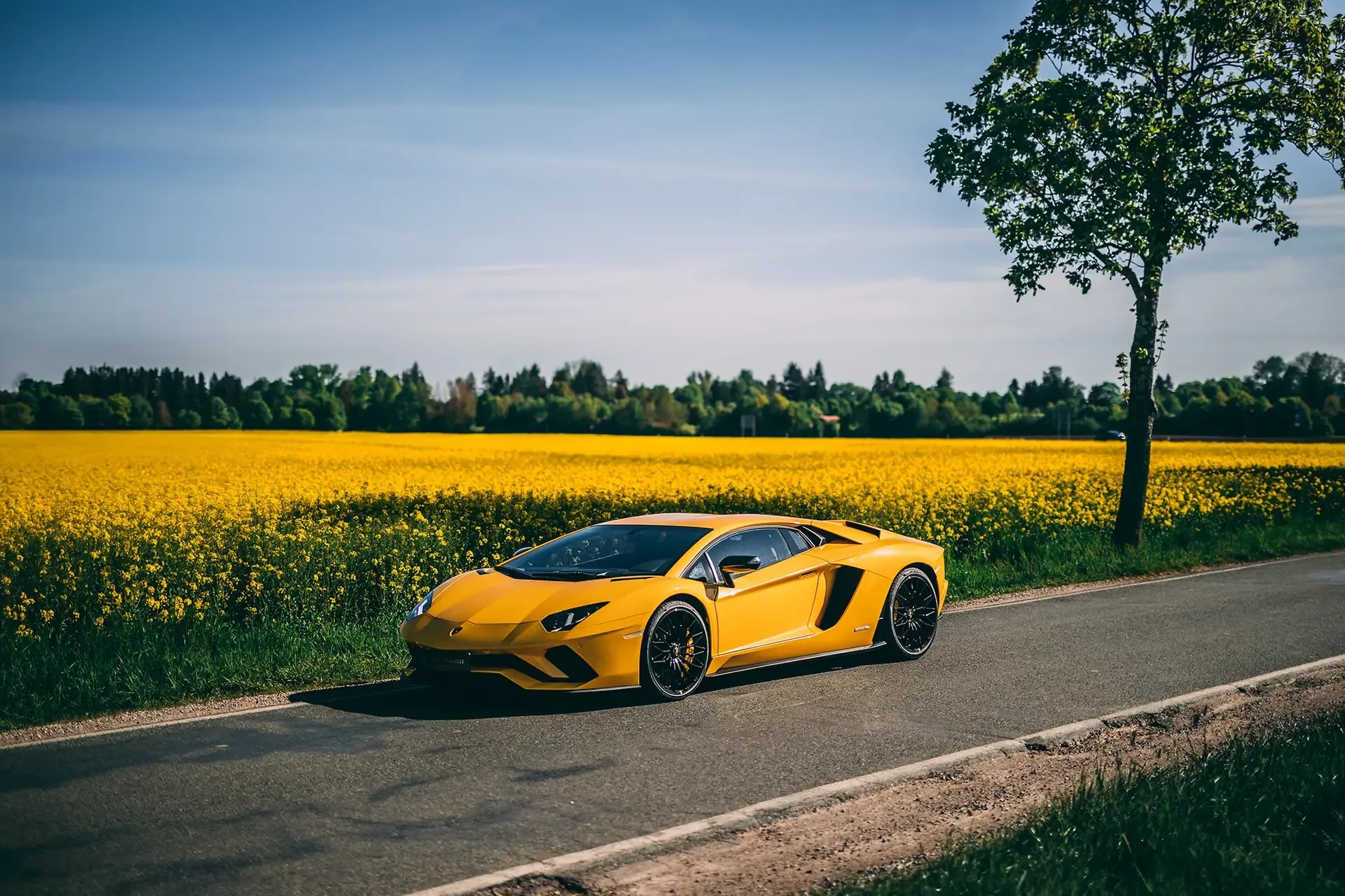 Aventador S