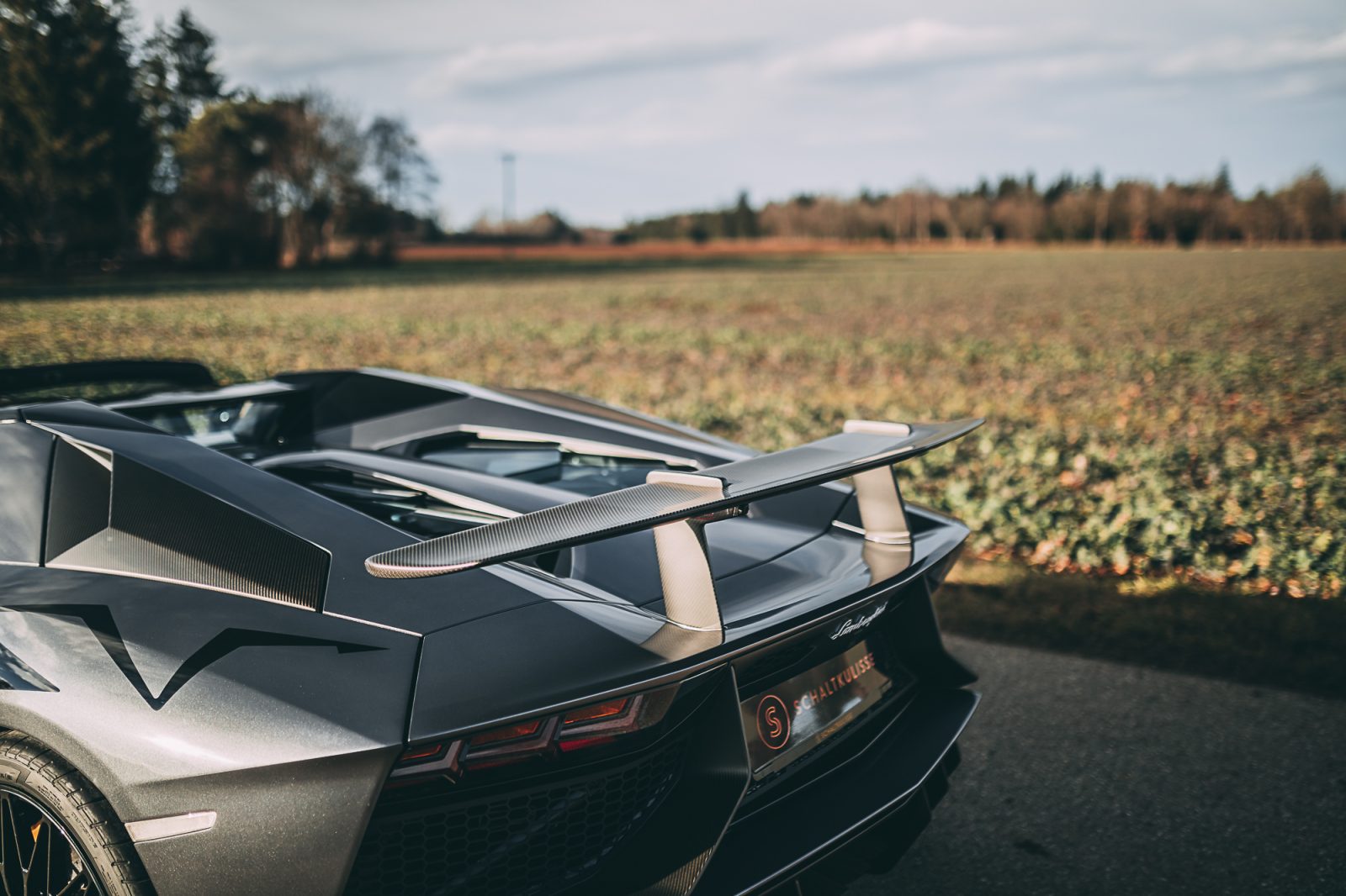 Lamborghini Aventador S Einstiegsleisten groß (Set)