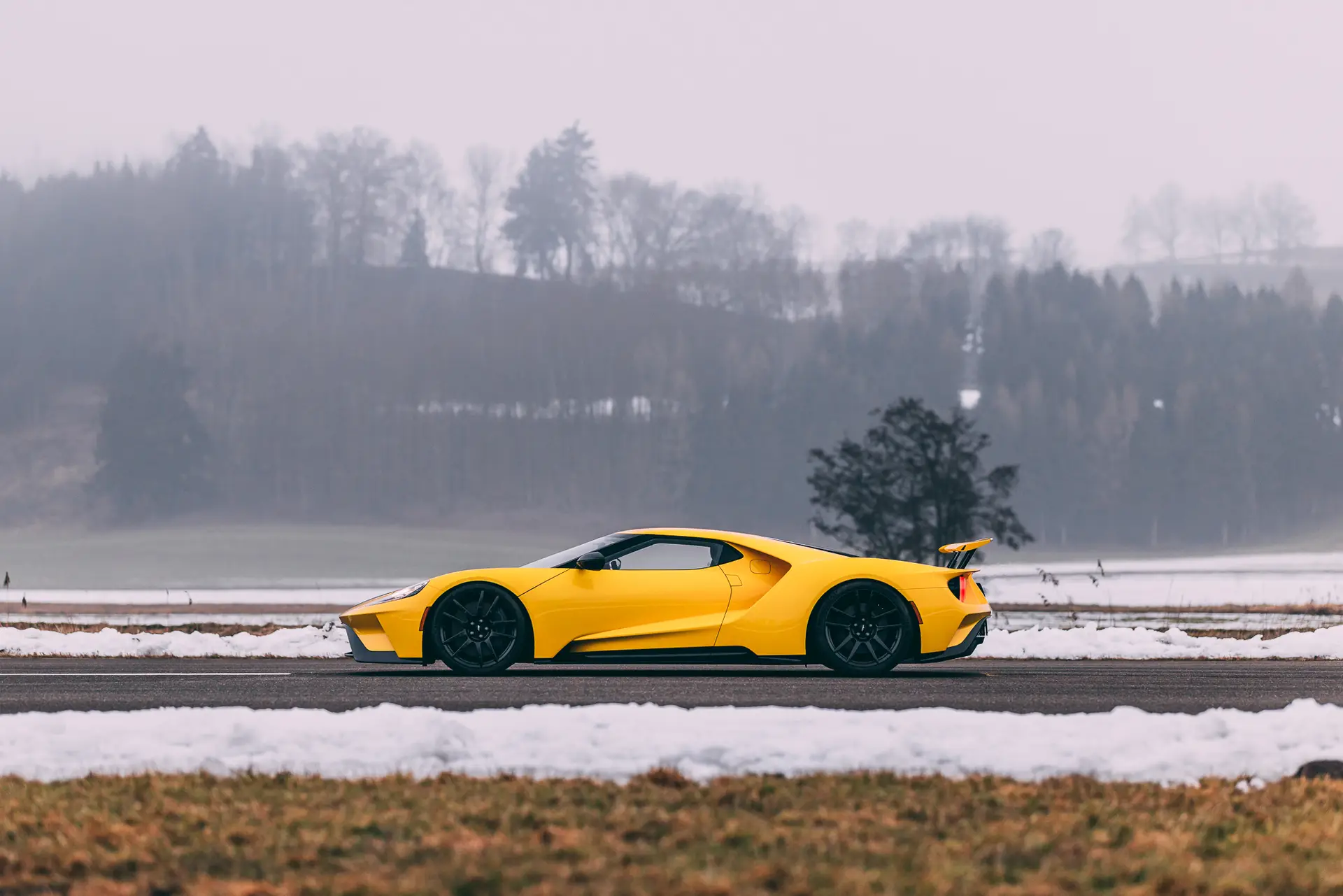 BAUER_SK_ford_gt_Carbon_Series_yellow-Side (2)